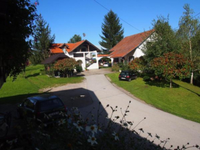 Гостиница House Ilija Hodak  Селиште Дрежничко